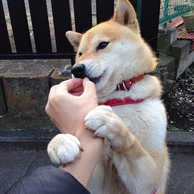 篮球比赛裁判临场沟通方式纳入标准，篮球裁判临场总结